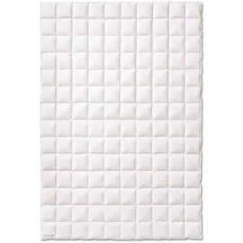 Kauffmann Elegance 700 155x220 cm leicht