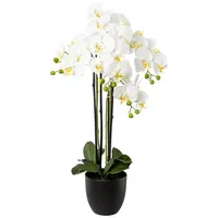 Kunstblume Orchidee Phalenopsis, weiß, in schwarzer Vase, Creativ green, Höhe 85 cm 85 cm