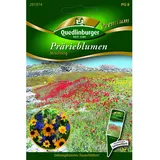 Quedlinburger Prärieblumen ''Mischung''