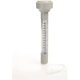 BESTWAY Pool-Thermometer grau 0,25 m