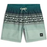 O'Neill Logo Stripe Badeshorts Grün 128