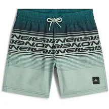 O'Neill Logo Stripe Badeshorts Grün 128