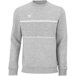 Pullover Tecnifibre Team hellgrau|silber|silber 2XL