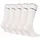 Head Socken ELEMENTS ALL SPORTS CREW 5er Pack Weiß 39-42