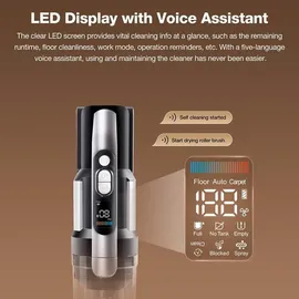 Jimmy PW11 Pro schwarz