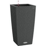 LECHUZA Cubico Cottage 30 Komplettset 30 x 30 x 56,5 cm granit