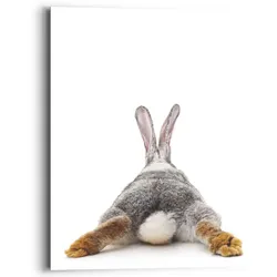 Reinders! Wandbild »Wandbild Kaninchen Rabbit - Hase - Schwanz - Relax«, Hasen, (1 St.) Reinders! Farbe Bild(er): weiß