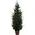 Fééric Lights and Christmas Künstlicher Weihnachtsbaum im Topf, 150 Cm