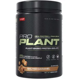 Vast Pro Plant Salted Caramel Pulver 900 g