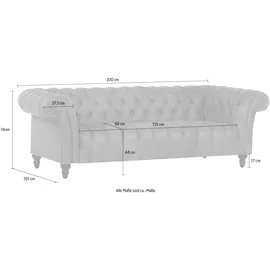 GUTMANN FACTORY Big-Sofa GUTMANN FACTORY AMAZONAS braun cognac B:230cm H:74cm T:101cm, Sofas, aus Anilinleder