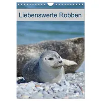 Calvendo Liebenswerte Robben (Wandkalender 2026 DIN A4 hoch), CALVENDO