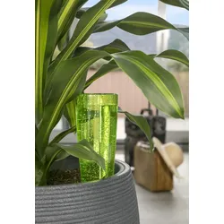 Scheurich Copa XXL, Wasserspeicher aus Kunststoff,  Farbe: Copa XXL, Green, 9,6 cm Durchmesser, 32 cm hoch, 1 l Vol.