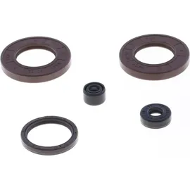 ogio brasil Dichtungsvollsatz Motor