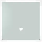 Dennerle Abdeckscheibe Nano Cube, 30 Liter