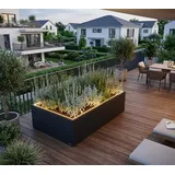 Herstera Garden Cube Low XL Plus 150 x 100 x 50 cm Anthrazit