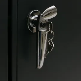 Proregal Mülltonnenverkleidung 250 x 122 x 84 cm schwarz