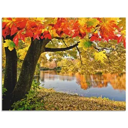 Wandbild ARTLAND "Herbsttag an einem ruhigen See", grün (farbe bild(er): grün), B:60cm H:45cm, Bilder, als Alubild, Outdoorbild, Leinwandbild in verschied. Größen
