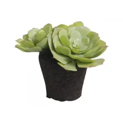 Chic Antique Fleur Sukkulent 1, H10 cm, grün