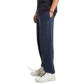 QUIKSILVER Graphic Jogger Pants