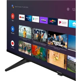 Grundig 55 VCE 223 55" 4K LED TV