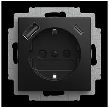 Busch-Jaeger Steckdoseneinsatz 20 EUCB2USBAC-915 Weiß