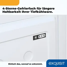 Exquisit Gefriertruhe, Kombigerät, Tiefkühltruhe, 98 Liter, 4-Sterne-Gefrieren, Gefriertruhe klein, Toplader, GT101-E-040E weiss