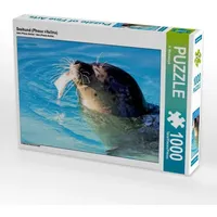 Calvendo Seehund (Phoca vitulina) (Puzzle)