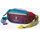 Cotopaxi Allpa X 1,5L Hip Pack Del Dìa Multicolor