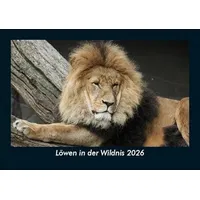 Vero Kalender Löwen in der Wildnis 2026 Fotokalender DIN