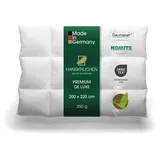HANSKRUCHEN GmbH HANSKRUCHEN® Daunendecke 200x220 cm extra Leicht 90% Daunen waschbar Allergiker Frühjahresbettdecke atmungsaktiv Bettdecke weiss - Premium de Luxe / Weiß