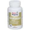 Shatavari Extrakt 20 % 500 mg Kapseln