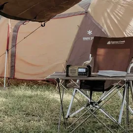 Sangean MMR-99 braun