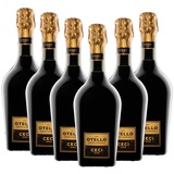 6 fl. x 0,750 l - Emilia IGT Nero di Lambrusco Otello Cantine Ceci