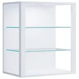 VCM Hängevitrine Glasol 52 x 35 x 60 cm Weiß