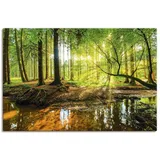 ARTland »Wald mit Bach«, Wald, (1 St.), als Alubild, Outdoorbild, Leinwandbild, Poster, Wandaufkleber