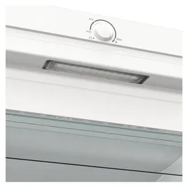 Gorenje FN619EEW5
