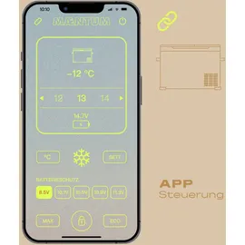 Plug-in Festivals IceCube DUAL 30 l