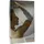sporlastic gmbh & co. kg Epi-Dyn Ellenbogenbandage platinum 1 St Schwarz M
