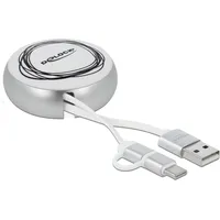 DeLock 85821 - USB und USB-C, Weiß/Silber