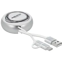 DeLock 85821 - USB und USB-C, Weiß/Silber