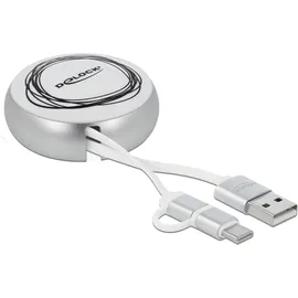 DeLock 85821 - USB und USB-C, Weiß/Silber