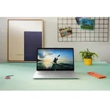 HP 17-cp0565ng AMD Ryzen 5 5500U 8 GB RAM 512 GB SSD Win11 Home