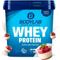 Bodylab24 Whey Protein Pannacotta Pulver 1000 g