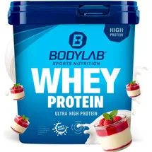 Bodylab24 Whey Protein Pannacotta Pulver 1000 g