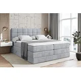 altdecor Boxspringbett APO KING - 160 x 200 - H3/H4 - Hellgrau