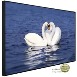 papermoon Infrarotheizung »EcoHeat - Schwan Liebespaar«, Matt-Effekt - bunt