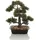 HJH Office Kunstpflanze BONSAI 44 cm
