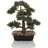 HJH Office Kunstpflanze BONSAI 44 cm