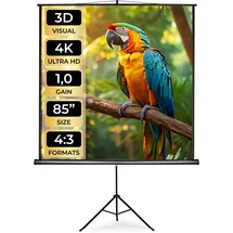 Tectake tectake® Beamer-Leinwand, ausziehbar, verschiedene Formate, Doppelschicht-Gewebetuch, faltenfrei