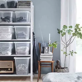 orthex BasicBox L 44 l 1-tlg. transparent